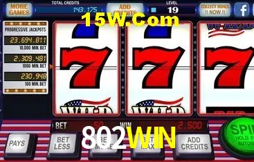 Segurança 2FA 802WIN