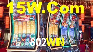 Programa VIP 802WIN