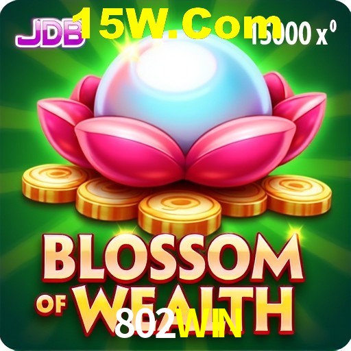 802WIN — tipos de mensagem disponíveis no canal de opinião do aplicativo