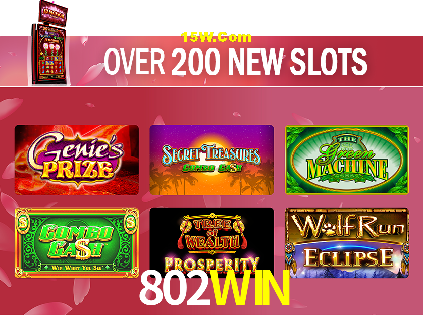 Secure Login 802WIN