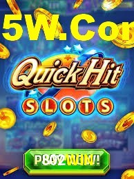 Roulette Table 802WIN